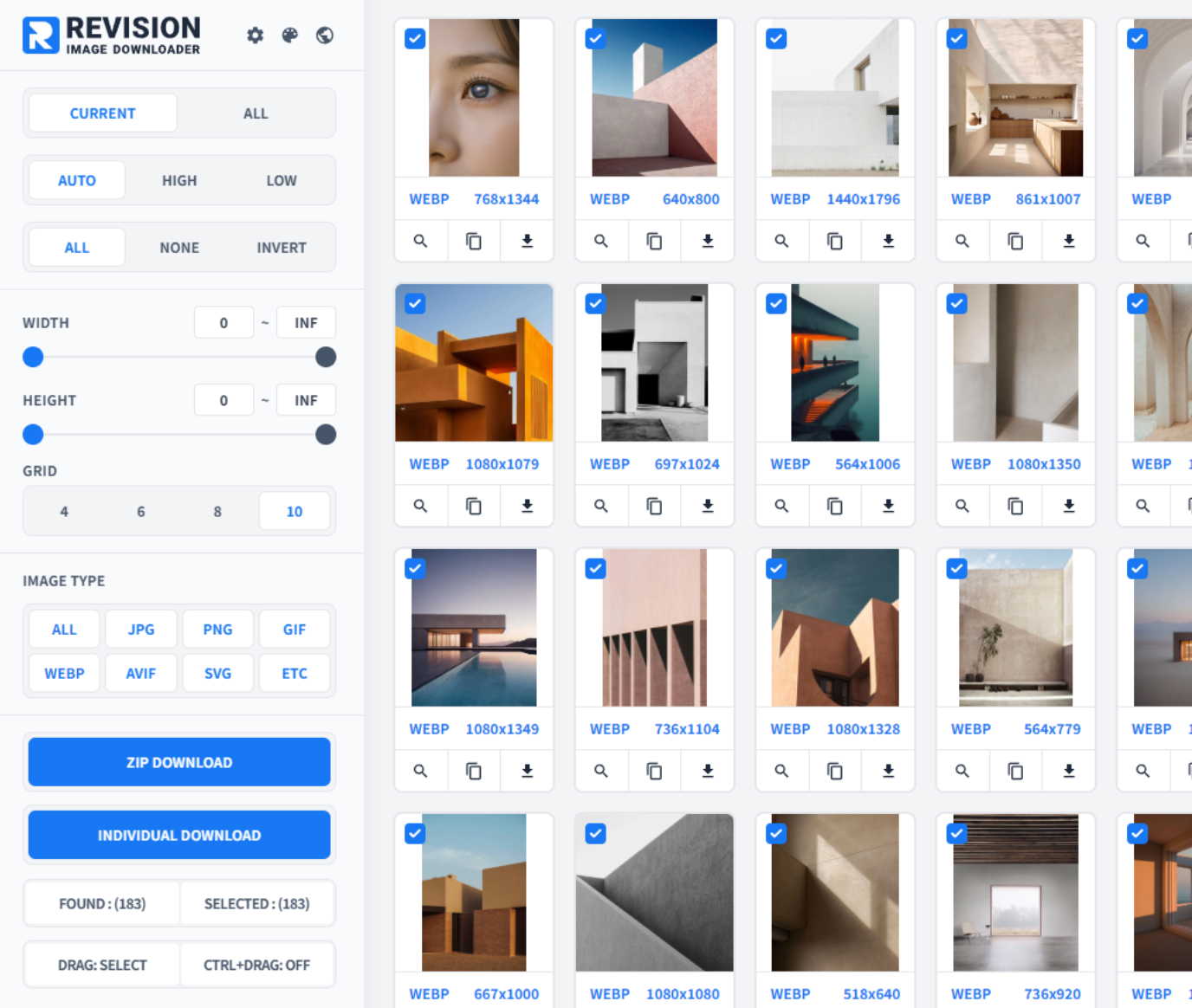 REVISION Main Interface